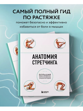 Анатомия стретчинга. Большая иллюстрированная энциклопедия