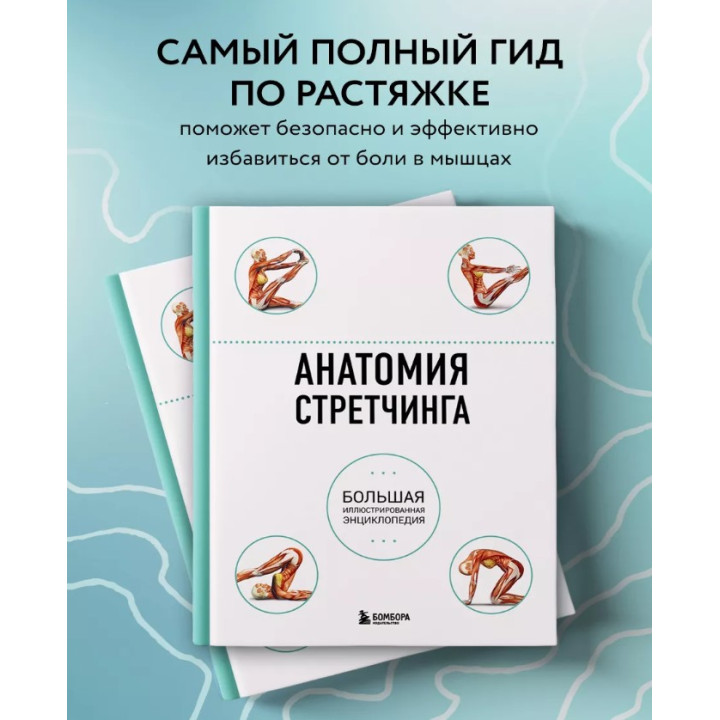 Анатомия стретчинга. Большая иллюстрированная энциклопедия