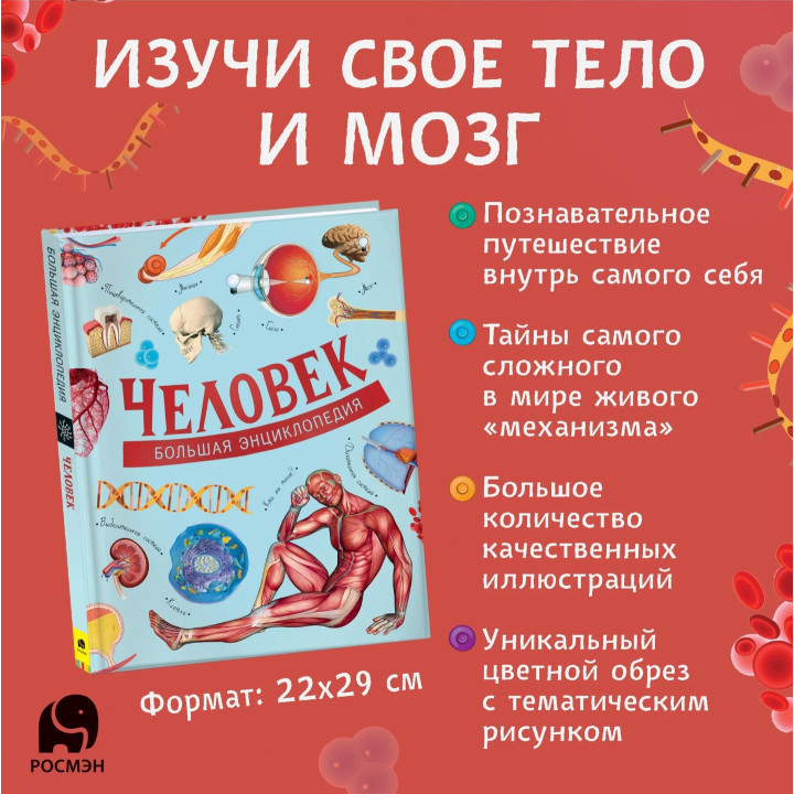 Большая Энциклопедия Человек