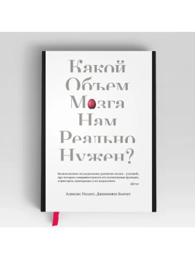 Какой объем мозга нам реально нужен?