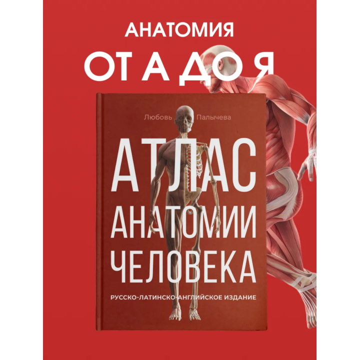 Атлас анатомии человека. Русско-латинско-английское издание