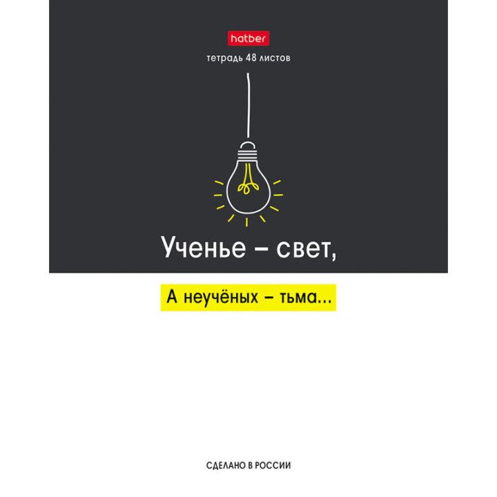 Тетрадь 48 листов А5ф клетка 65г/кв, на скобе 10 диз в коробке "Люблю школу"