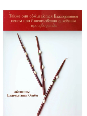 Свечи праздничные Пасхальные "Вербочка" обожженная Благодатным огнем 3 штуки в наборе Свечи праздничные Пасхальные "Вербочка" обожженная Благодатным огнем 3 штуки в наборе