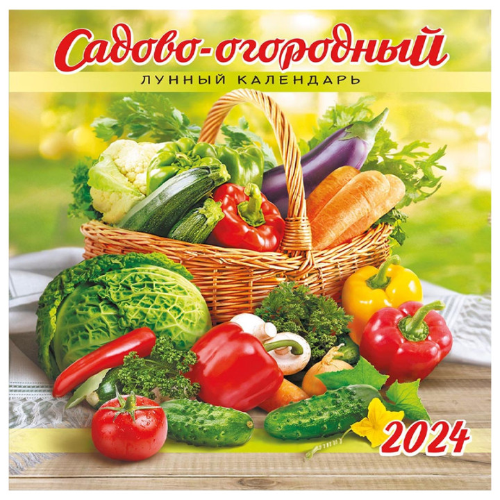 Календарь настенный на скрепке 12 листов,средний 2024г ПК-21-001 24*24