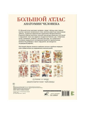 Большой атлас анатомии человека Махиянова Е.Б _--