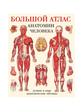 Большой атлас анатомии человека Махиянова Е.Б _--