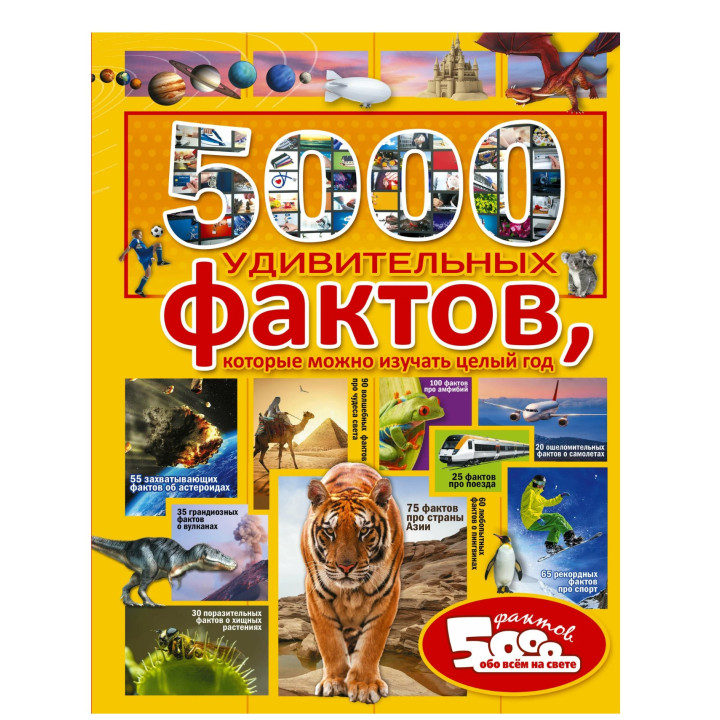 5000 удивительных фактов, которые можно изучать целый год