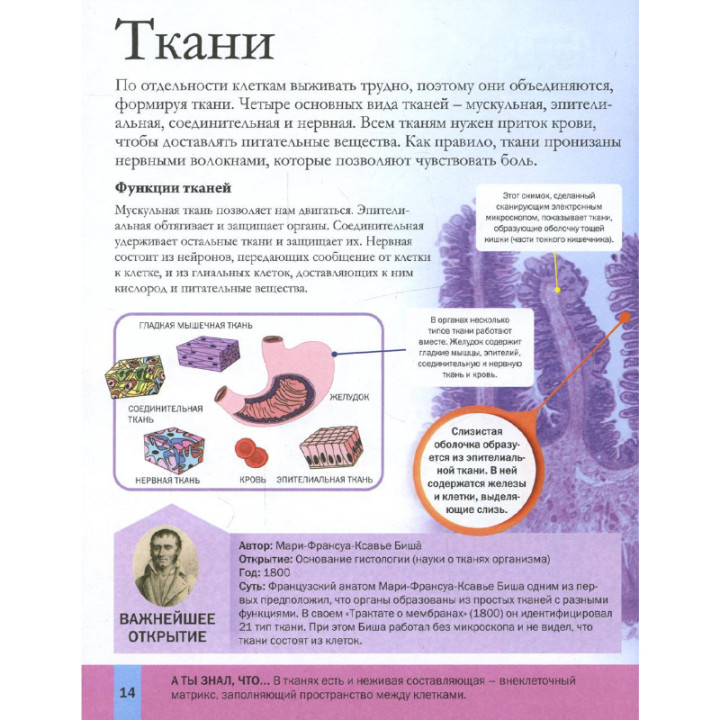 Тело человека большая энциклопедия почемучки изд. АСТ