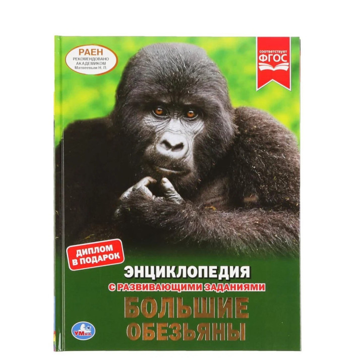 Большие обезьяны энциклопедия с развивающими заданиями 