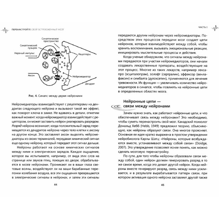 Перенастройте свой встревоженный мозг. Как использовать  неврологию...