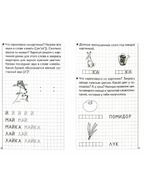 Развиваем навыки чтения и грамотного письма (для детей 5-6 лет), комплект