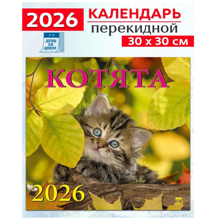 Календарь настенный на скрепке 12 листов, средний 2026г (Ассорти) Календарь настенный на скрепке 12 листов, средний 2026г (Ассорти)