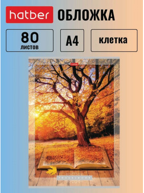 Тетрадь Hatber 80 листов, формат А4, клетка, на скобе 3 дизайна Тетрадь Hatber 80 листов, формат А4, клетка, на скобе 3 дизайна