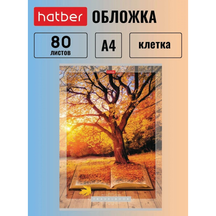 Тетрадь Hatber 80 листов, формат А4, клетка, на скобе 3 дизайна Тетрадь Hatber 80 листов, формат А4, клетка, на скобе 3 дизайна