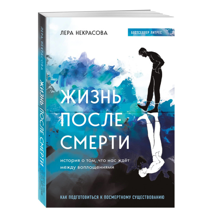 Жизнь после смерти. История о том, что нас ждёт между воплощениями