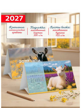 Календарь настольный домик большой 2027 год (на пружине) 