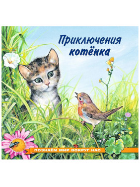 Приключения котенка