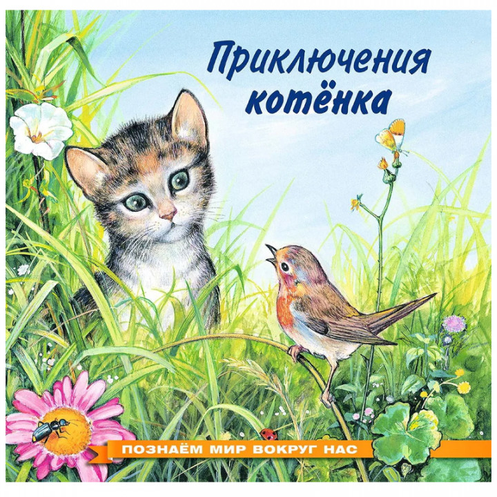 Приключения котенка