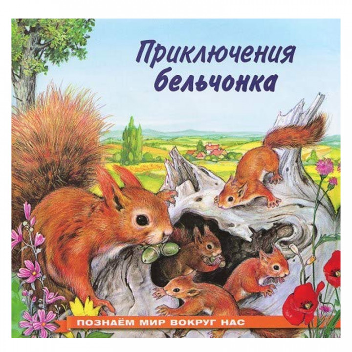 Приключения бельчонка