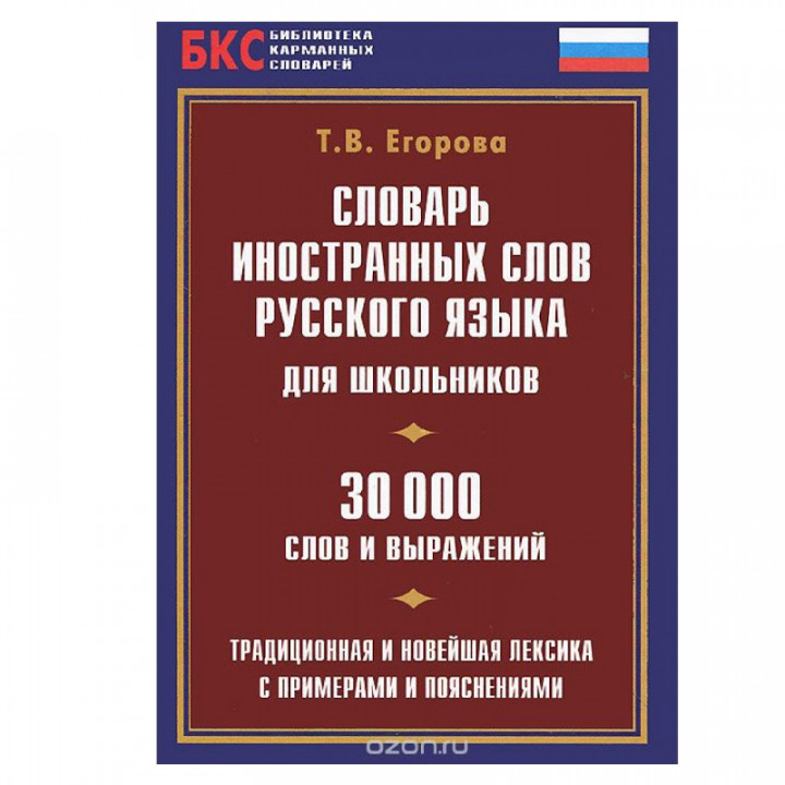 Словарь иностранных слов русского языка для школьников. 30000 слов и выражений