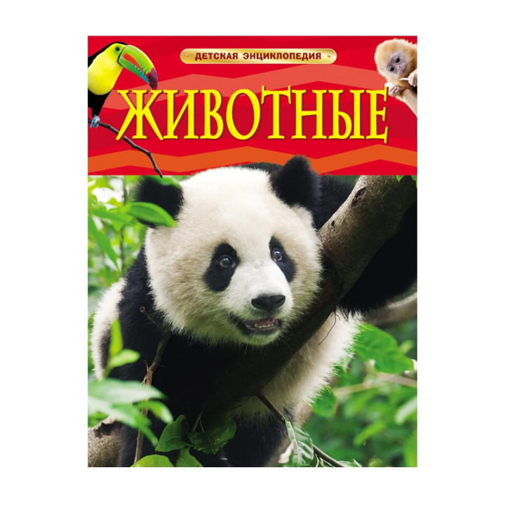 Животные. Детская энциклопедия