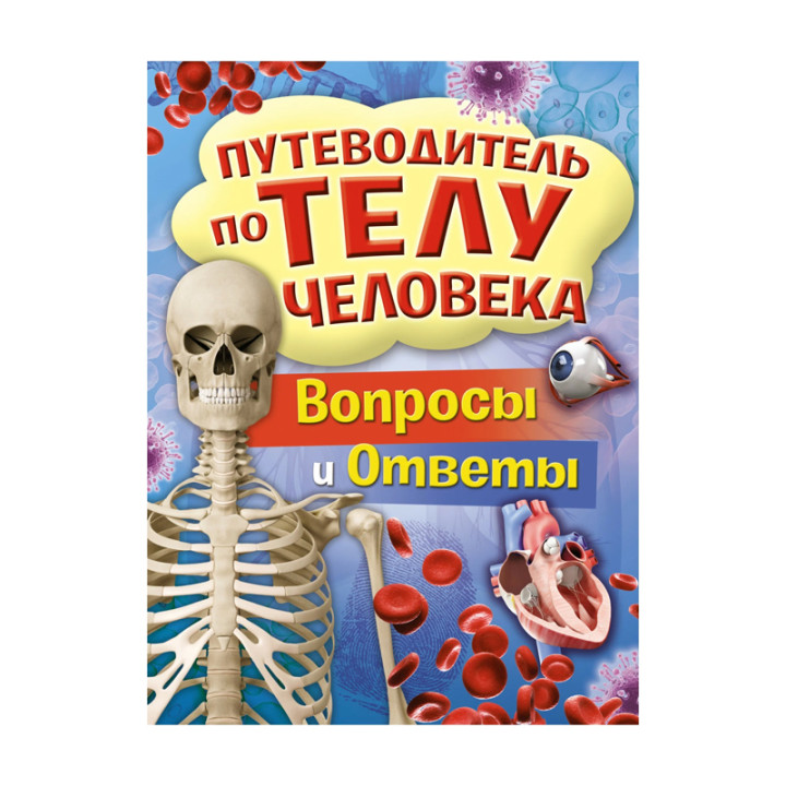 Путеводитель по телу человека. Вопросы и ответы