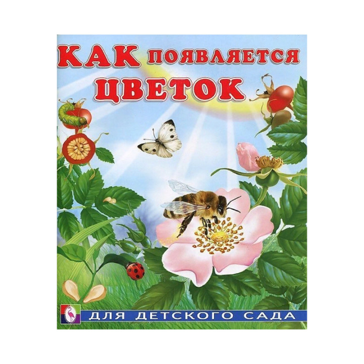 Как появляется цветок