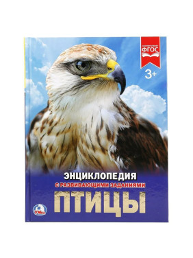Птицы