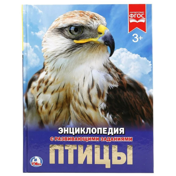 Птицы