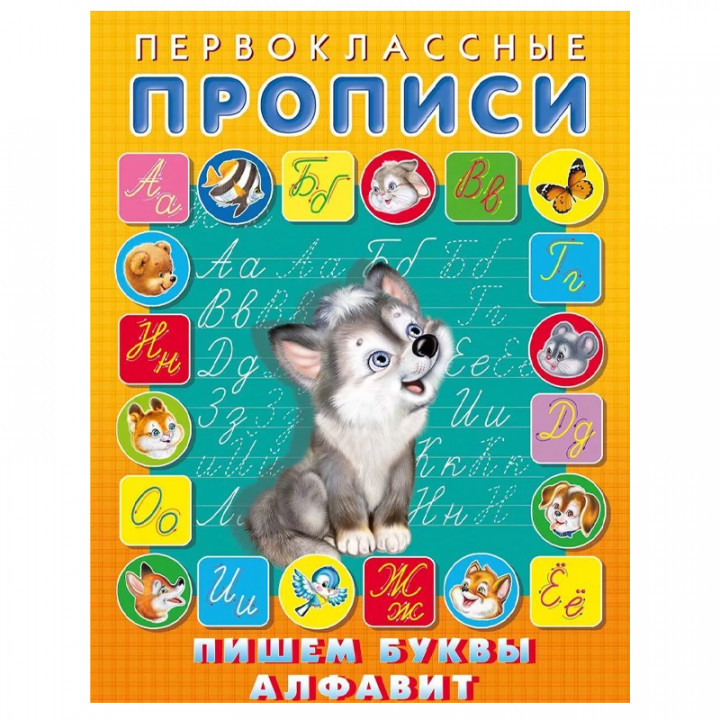 Пишем алфавит. Прописи с наклейками Пишем алфавит. Прописи с наклейками 