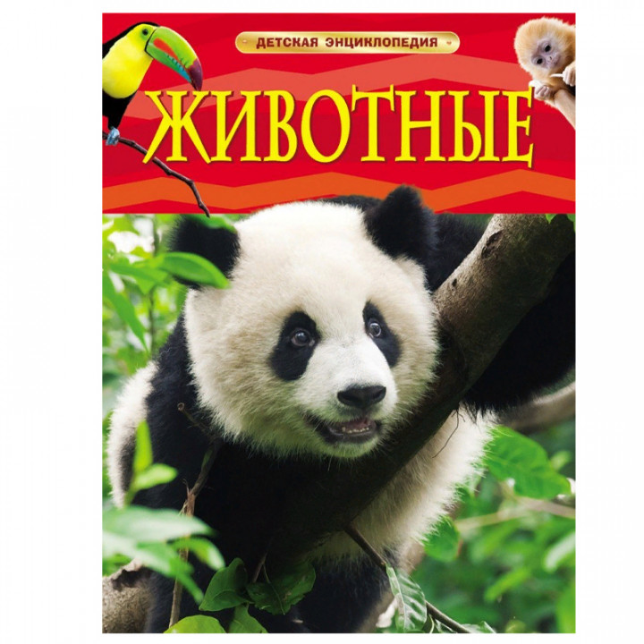 Животные