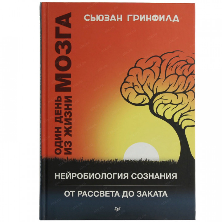 Один день из жизни мозга. Нейробиология сознания от рассвета до заката