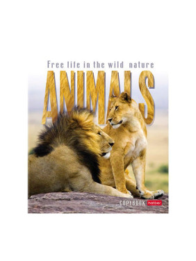 Тетрадь 48л А5 клетка "Animals"  Hatber