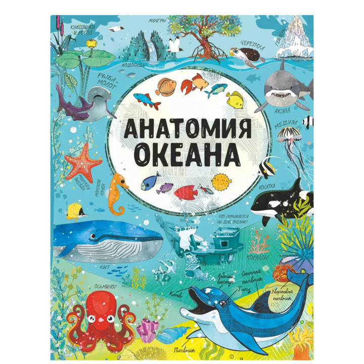 Анатомия океана. 