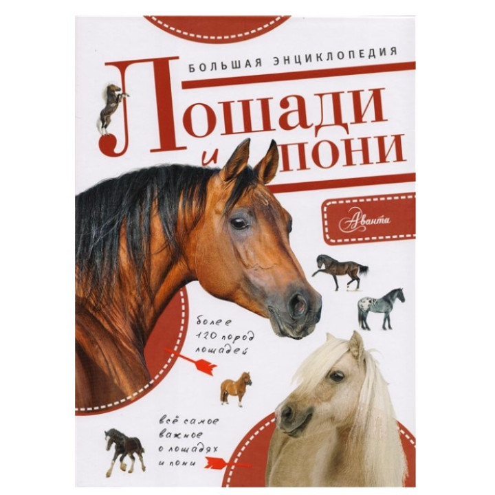 Большая энциклопедия. Лошади и пони