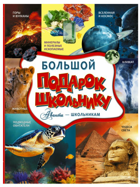 Большой подарок школьнику