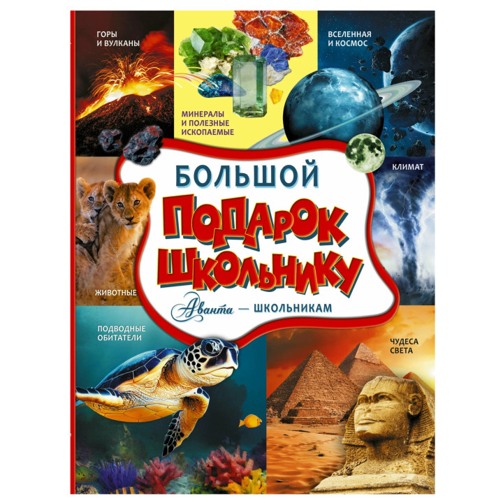 Большой подарок школьнику