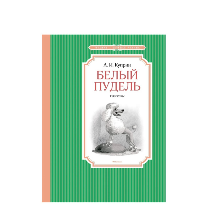  Белый пудель